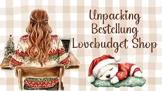 Unpacking meiner Bestellung bei Lovebudget Shop und erste Teamchallenge #umschlagmethode
