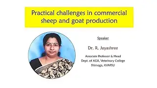 Practical challenges in commercial sheep & goat farming #Sheepfarming  #Goatfarming