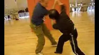Gao Bagua application