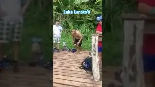 Dive Samoa's Lake Lanoto'o