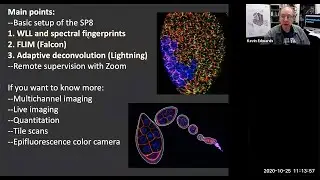 Illinois State Univ. SP8 confocal microscope overview and applications (2020). Part 2 of 3.