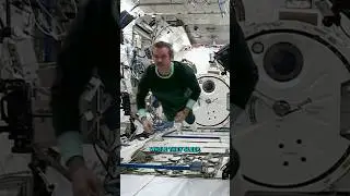 How Do Astronauts Sleep in Space? #space #science #education #nasa #tech #technology #astronaut