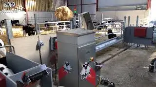 Urban Calf Feeders - O'Donovan Engineering Calf Shed