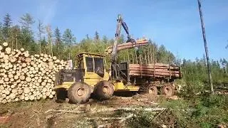 Tigercat 1075b. Работа форвардера в лесу