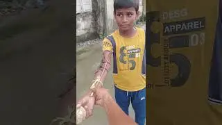 Ragular Bowling desi jugaad #shortvideo #cricket #bowlingcenter #bowlingaction #bowlervibes #cricket