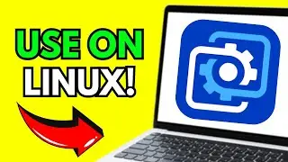 How To Use Wallpaper Engine On Linux Mint (Step By Step 2026)