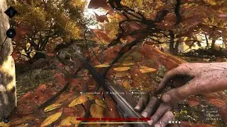 Rats | HUNT: SHOWDOWN