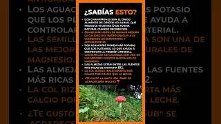Datos de nutrici&oacute;n que los m&eacute;dicos rara vez mencionan