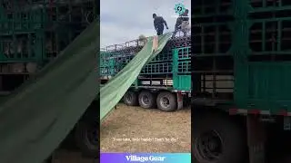 WOOLY Water Park?! 🐑 This Sheep Slide is EVERYTHING! 😂 #sheep #funny #farmlife #animalfun #slide
