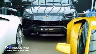 Lamborghini URUS x 𝐌𝐀𝐆𝐍𝐔𝐒 𝐏𝐑𝐎 𝐏𝐚𝐢𝐧𝐭 𝐏𝐫𝐨𝐭𝐞𝐜𝐭𝐢𝐨𝐧 𝐅𝐢𝐥𝐦 (𝐏𝐏𝐅)