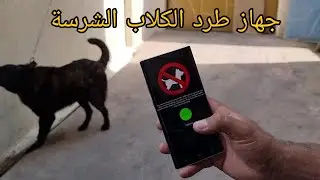تجربة جهاز يطرد و يخيف الكلاب الشرسة و الضالة هل هو فعال مع جمال العمواسي