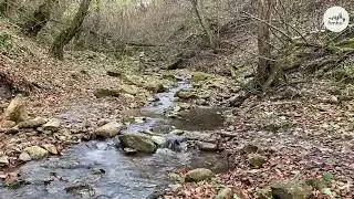 Meditation movie about tongue drum Fimbo 