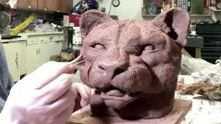 Clay Cougar -Instructional video for beginner to intermediates.