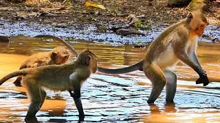 Freedom movement to find the find the fish just for fun. @monkeyscorner