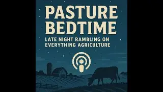 Episode 8 - Steven McCulloch 