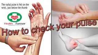 How to check pulse rate | How to check pulse rate on wrist