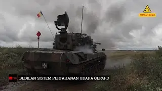 Bedilan sistem pertahanan udara buatan Jerman, Gepard