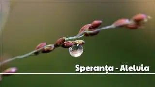 Speranta - Aleluia
