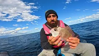 OFFSHORE fishing Sydney for snapper -  CATCH and COOK