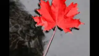 Pure Lounge Music - the world is changing