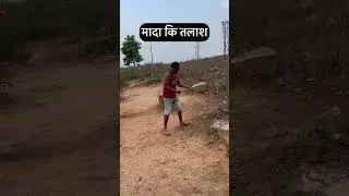 मादा की तलाश #youtubeshorts #chaibasa #singhbhumbazaar