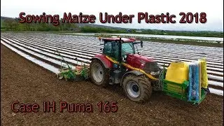 Sowing Maize Under Plastic 2018