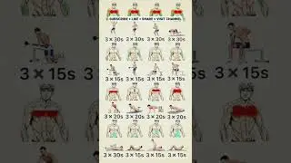4 exercise for upper body workout, 4 exercise for chest workout, 4 exercise for abs workout, 4 arms