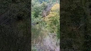 Manderscheid Burgen klettersteig part 29 (playlist available on channel)
