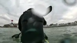 Wear A Helmet - Avoiding a Darwin Award!