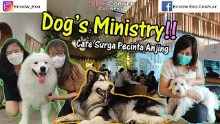 DOG'S MINISTRY - Cafe Pecinta Anjing
