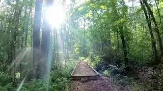 Upton State Forest, MA