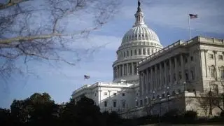 What is the DNC hiding in IT scandal?