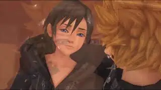 Kingdom Hearts, 1Heart2sides fan-made concept!