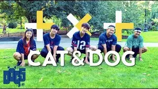 [KPOP IN PUBLIC - BOSTON] TXT (투모로우바이투게더) - 'Cat & Dog' | 4K | Full Dance Cover by DOG오 (DOG5)