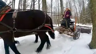 Can Brenda Handle This Job???? // Rolling Sleigh Ride Trail with Draft Horses