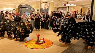 2026 CNY Traditional Lion Dance Performance #Y3  #TRX #雪州安邦玄龍體育會