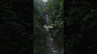 How To Fish Like Natives in the Amazon