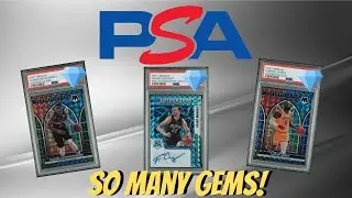 Insane PSA Bulk Submission! 70% Gem Rate!