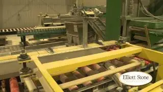 Elliott Stone Overview Video