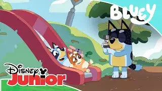 Bluey: Vida Sana | Disney Junior Oficial