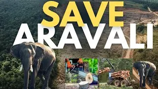 Aravali Parvatmala Khatre Mein |100 Meter Rule Sach Ya Saazish? | Supreme Court #Fa9la​ #Dhurandhar