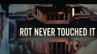 The Silent Cold War Timber Trick That Outsmarted Rot