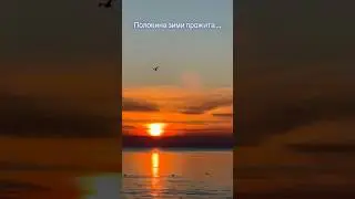 Половина зими прожита&hellip;