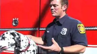 Wilshire the Fire Dog