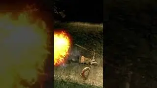 These dogs 😤 #funny #gaming #fun #funnymoments #darksouls