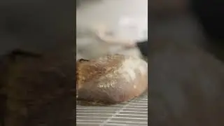 DUSTY KNUCKLE!