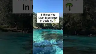 📍Ocala FL! 😍 #floridatravel #floridasprings #springs #visitflorida #ocala #florida #hiddengems