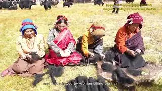 Do you have any yakwool product? What other #functions of yakwool can you enumerate? #tibetan #yak