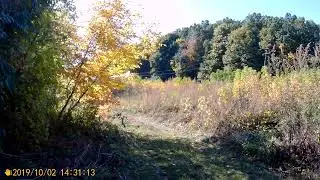 Дизель поездУмань Смела
