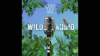 S2 E7: Documenting the Extraordinary Biodiversity in Bolivia&rsquo;s Madidi National Park